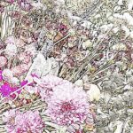 花のポストカード
