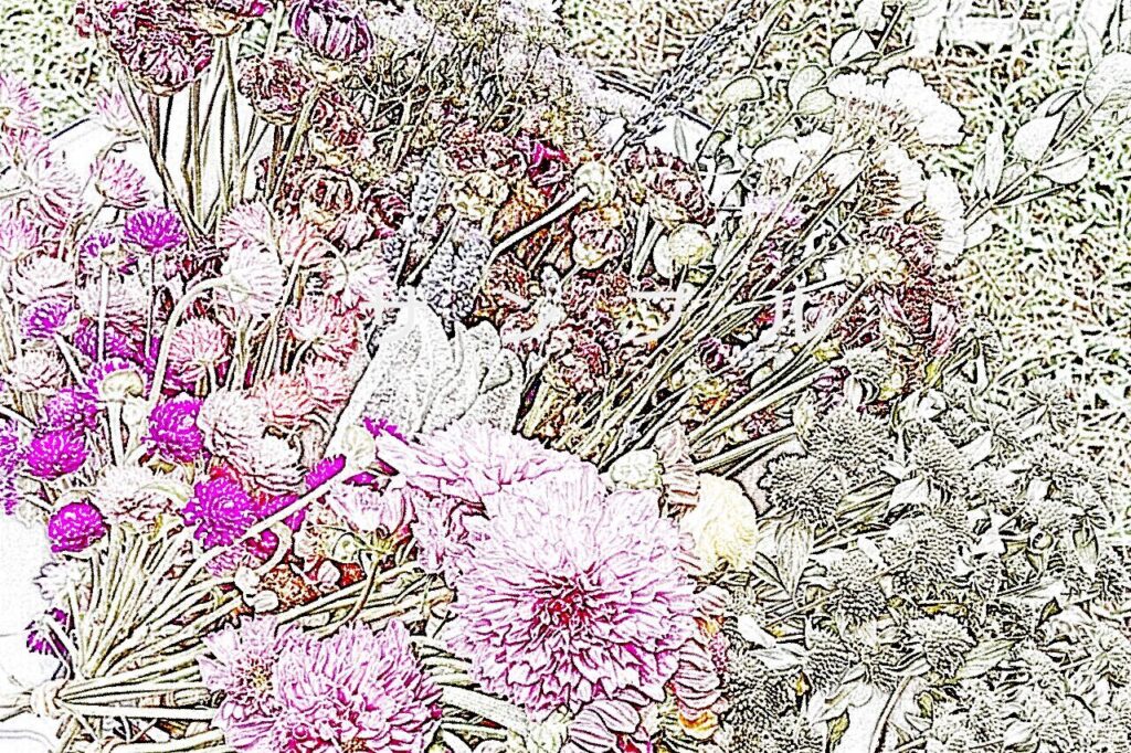 花のポストカード