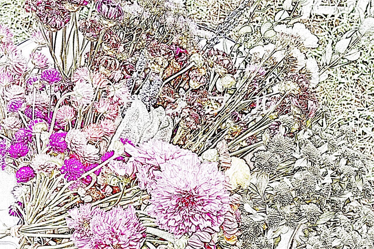 花のポストカード