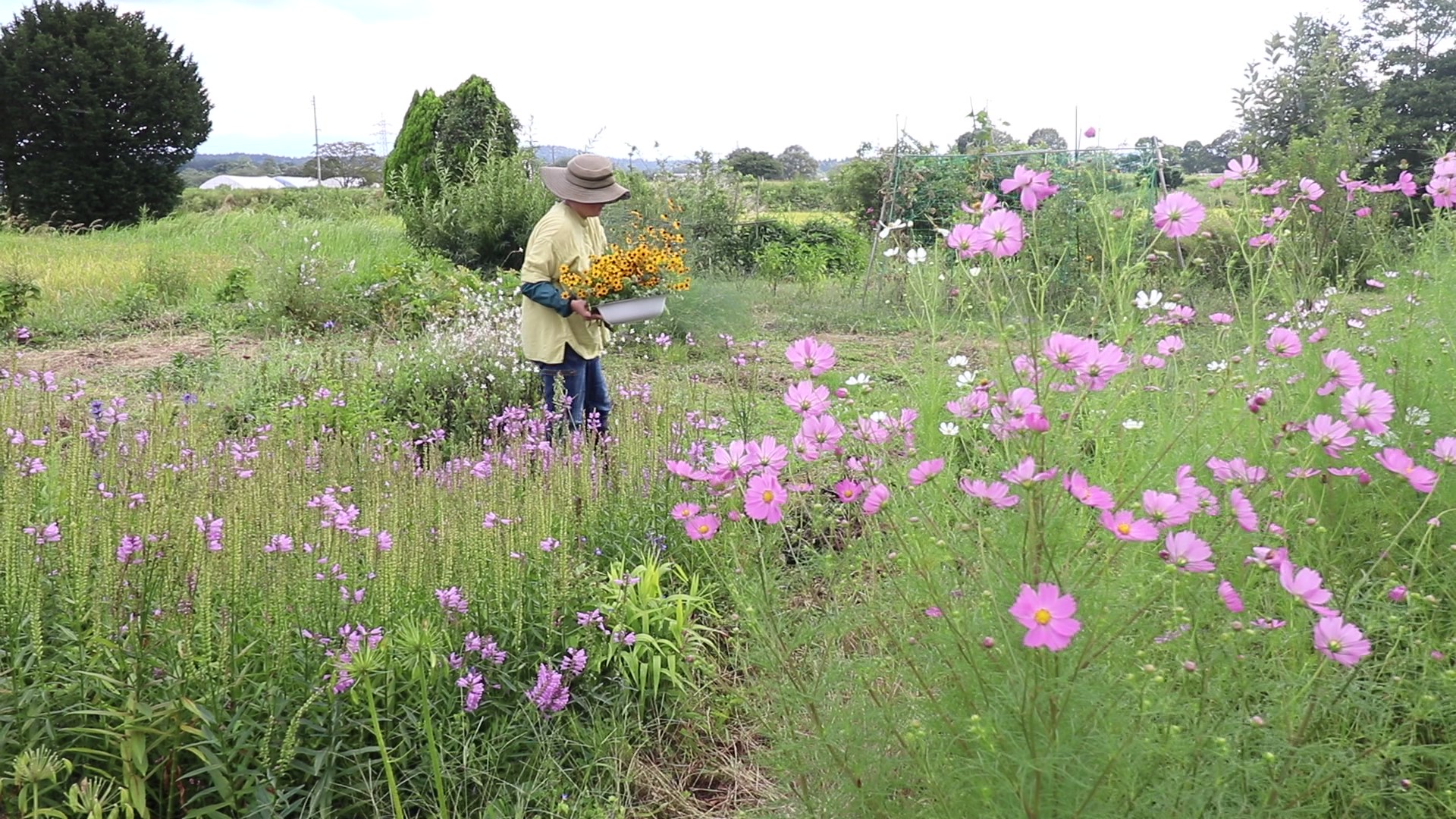 etsuko field