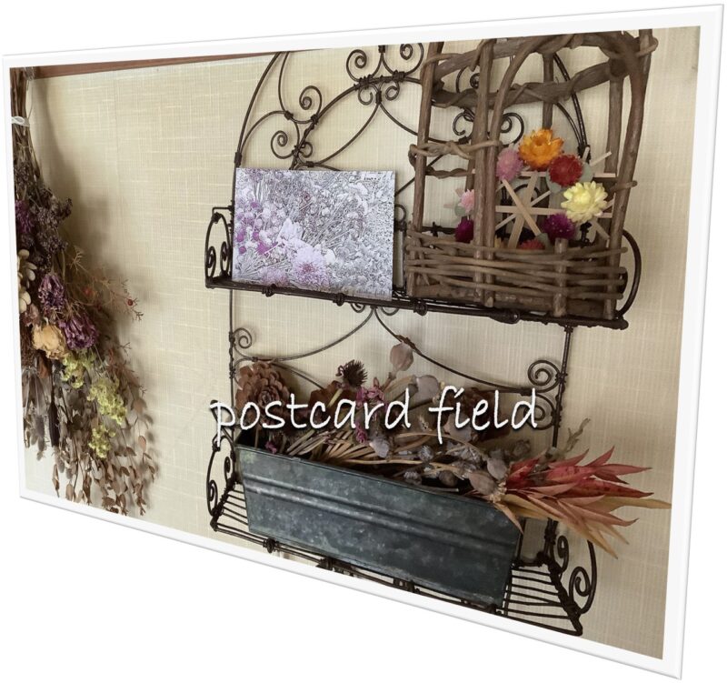 postcardfieldmain44