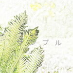 花のポストカード